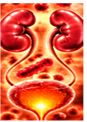 Respiratory Infections