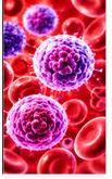 Respiratory Infections