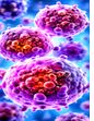Respiratory Infections