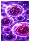 Respiratory Infections