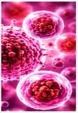 Respiratory Infections