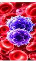 Respiratory Infections