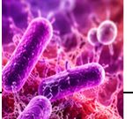 Respiratory Infections