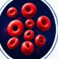 Blood Borne Infections