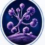 Fungal Infections