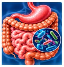 Respiratory Infections
