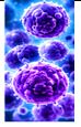 Respiratory Infections