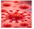 Respiratory Infections