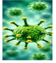Respiratory Infections