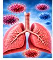 Respiratory Infections