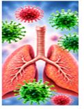 Respiratory Infections