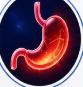Gastrointestinal Infections