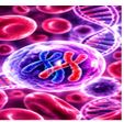 Respiratory Infections