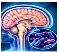 Respiratory Infections