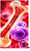 Respiratory Infections