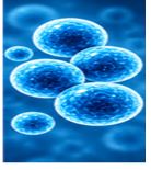 Respiratory Infections