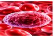 Respiratory Infections