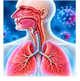 Respiratory Infections