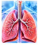 Respiratory Infections
