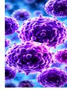Respiratory Infections