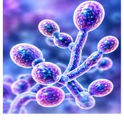 Respiratory Infections