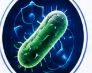 Tuberculosis and Mycobacterial Infections