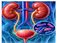 Respiratory Infections
