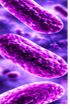 Respiratory Infections